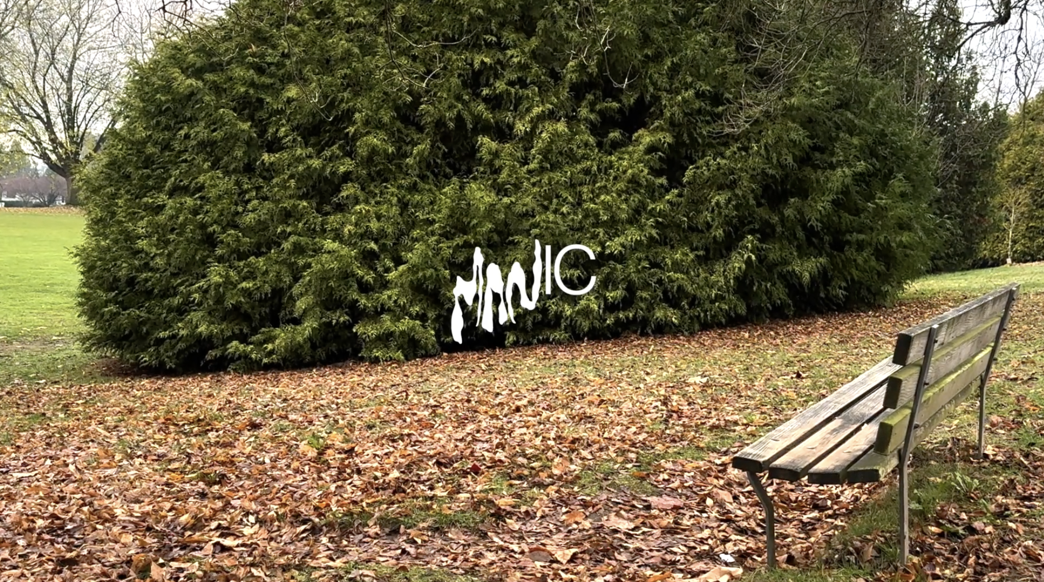 image_1.png